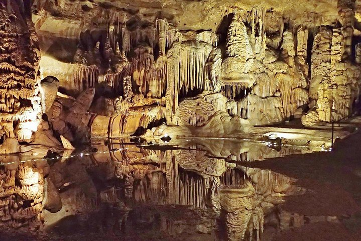 The Throne Room in Reflection